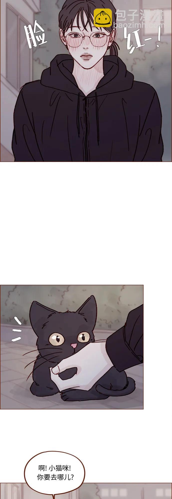 [第257话] 第3季尾声7