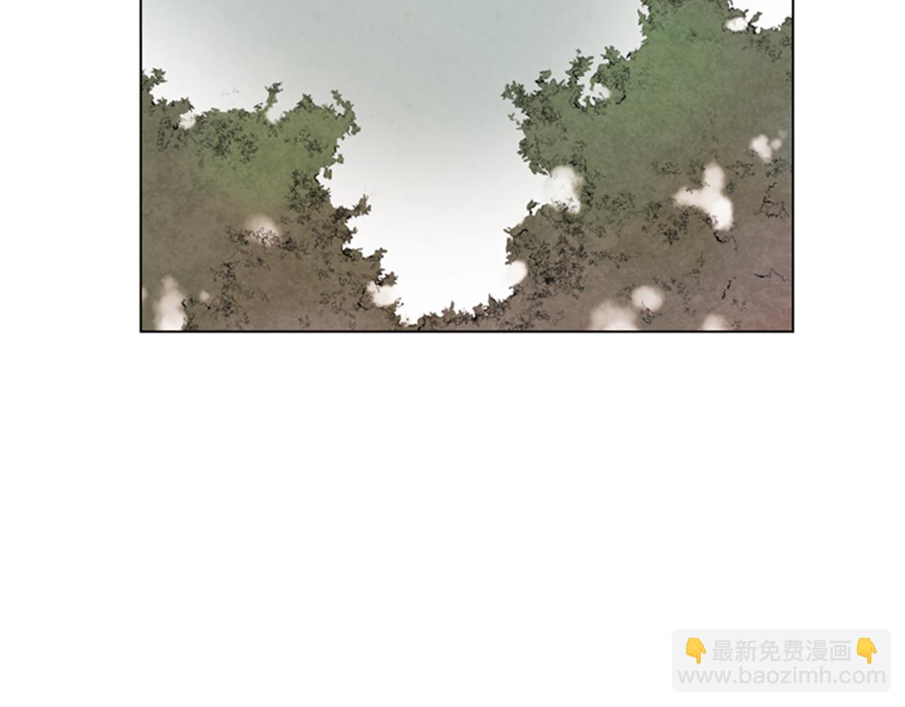 第65话 一举出击17