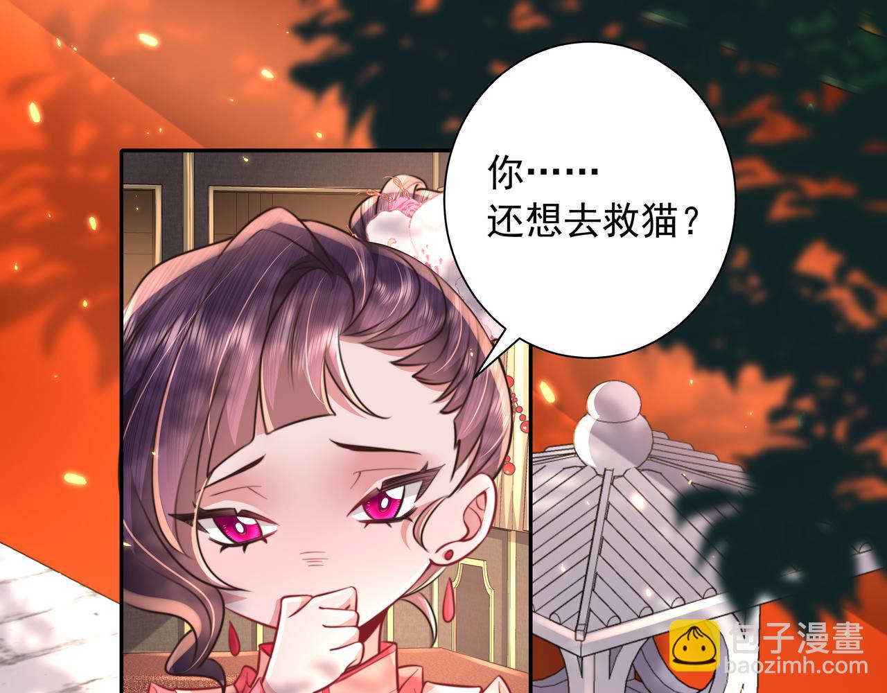第45话 皇兄这猫真可爱27