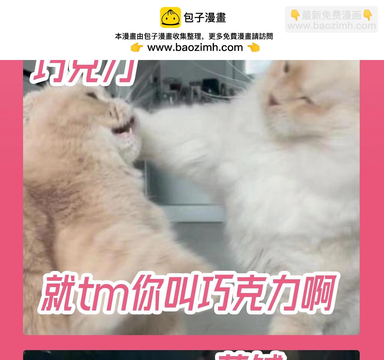 加更第112期 搞点事：老六大战巧克力4