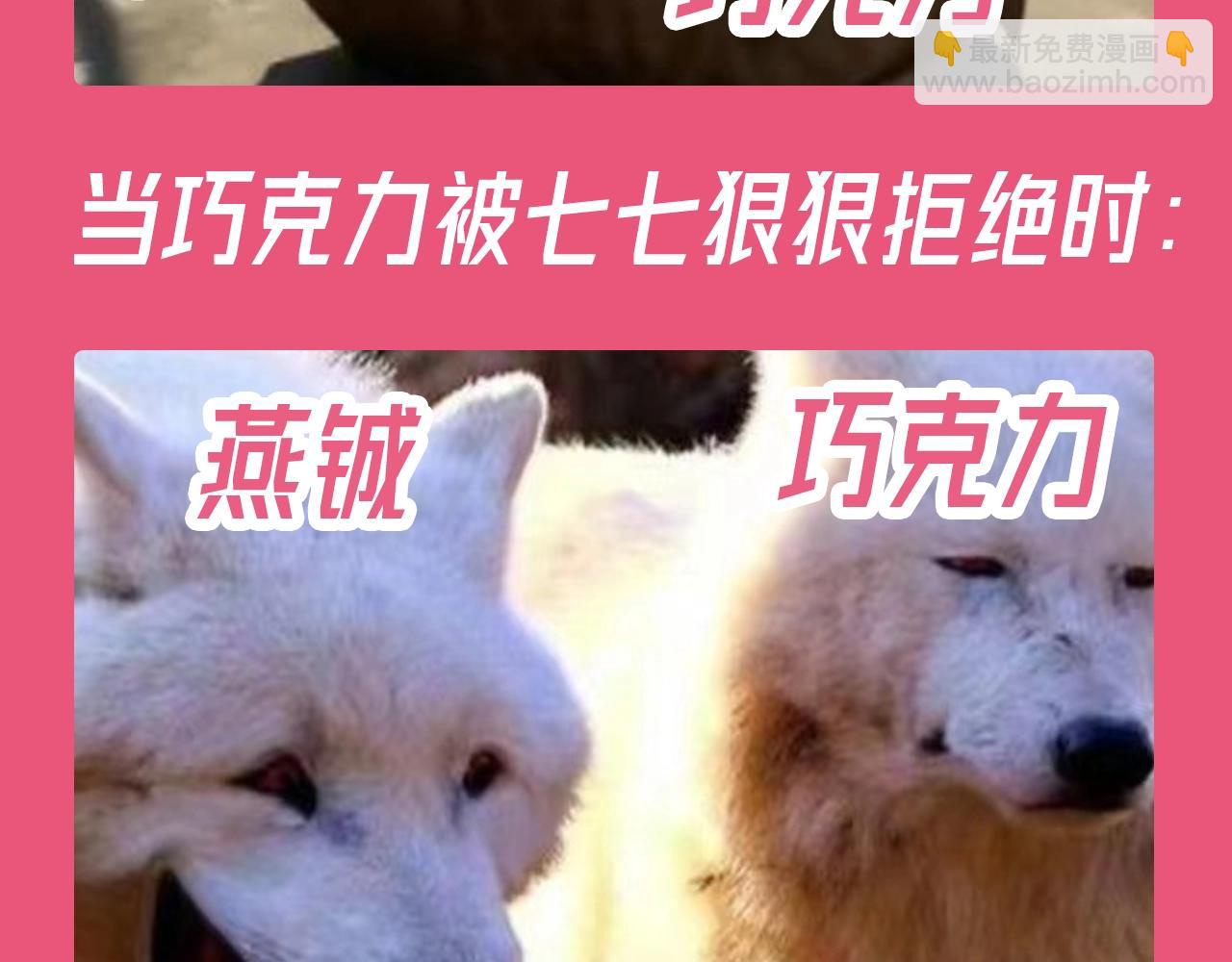 加更第112期 搞点事：老六大战巧克力6