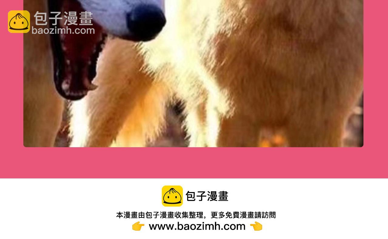 加更第112期 搞点事：老六大战巧克力7