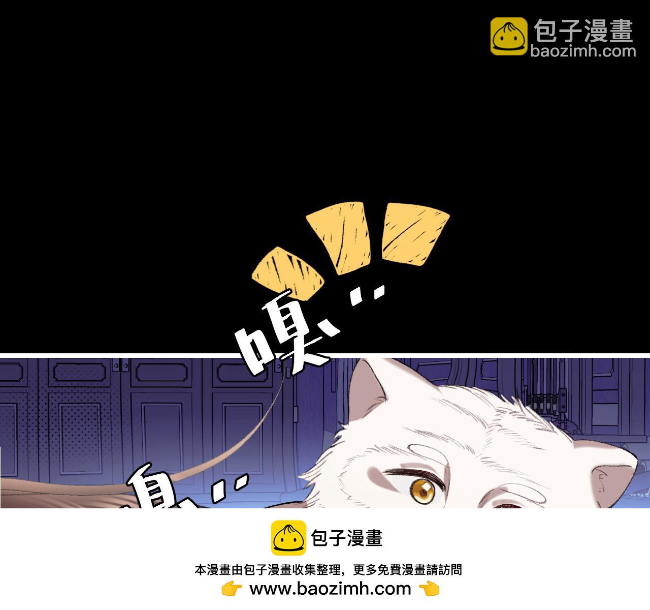 第329话 刺客53