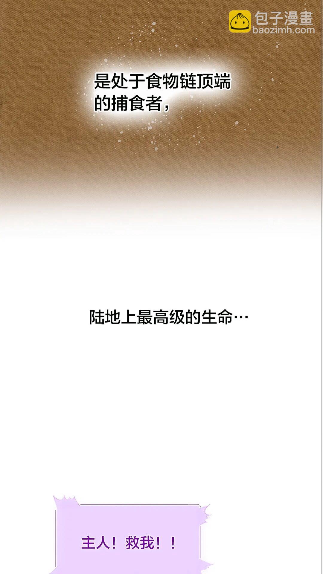 第二季 开启篇 龙的宠物10