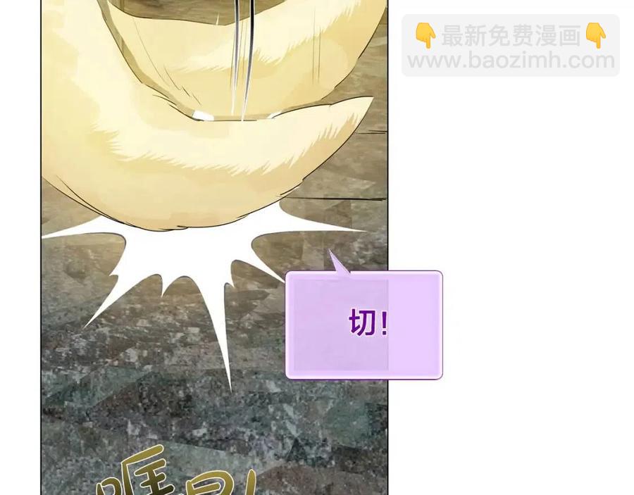 第49话 精灵大变身！170