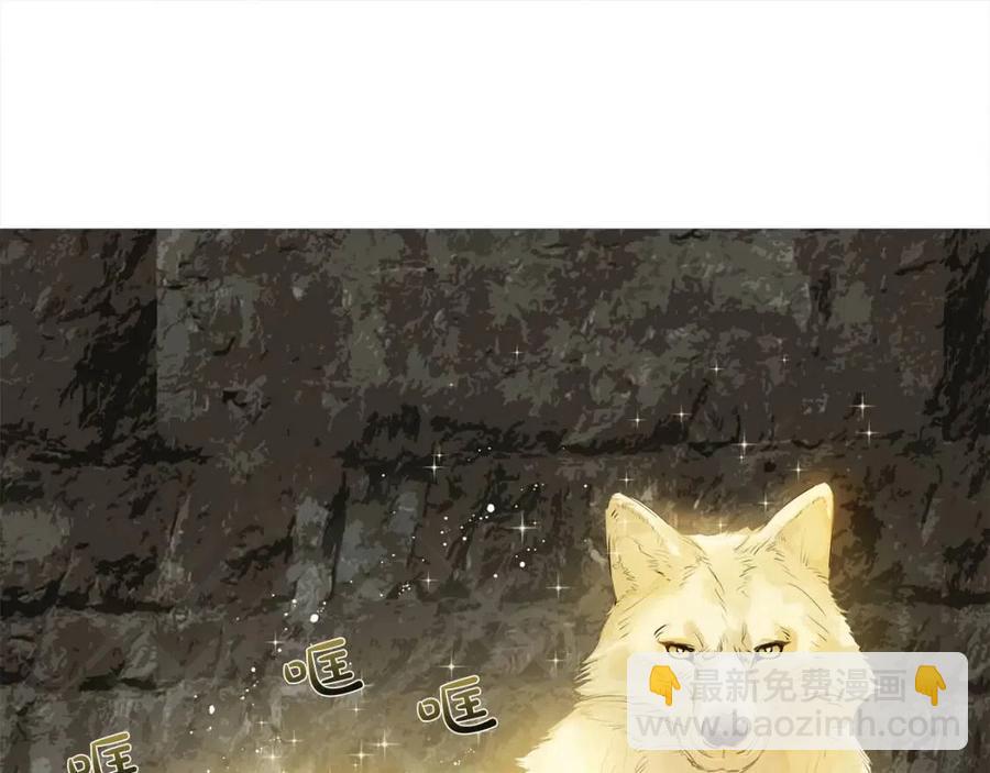 第49话 精灵大变身！172