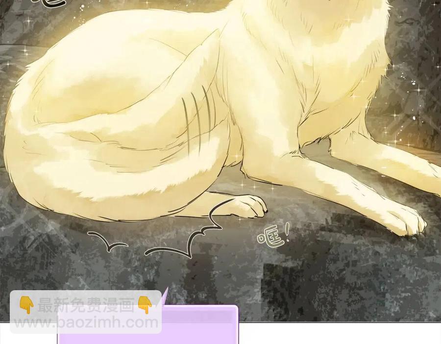 第49话 精灵大变身！173