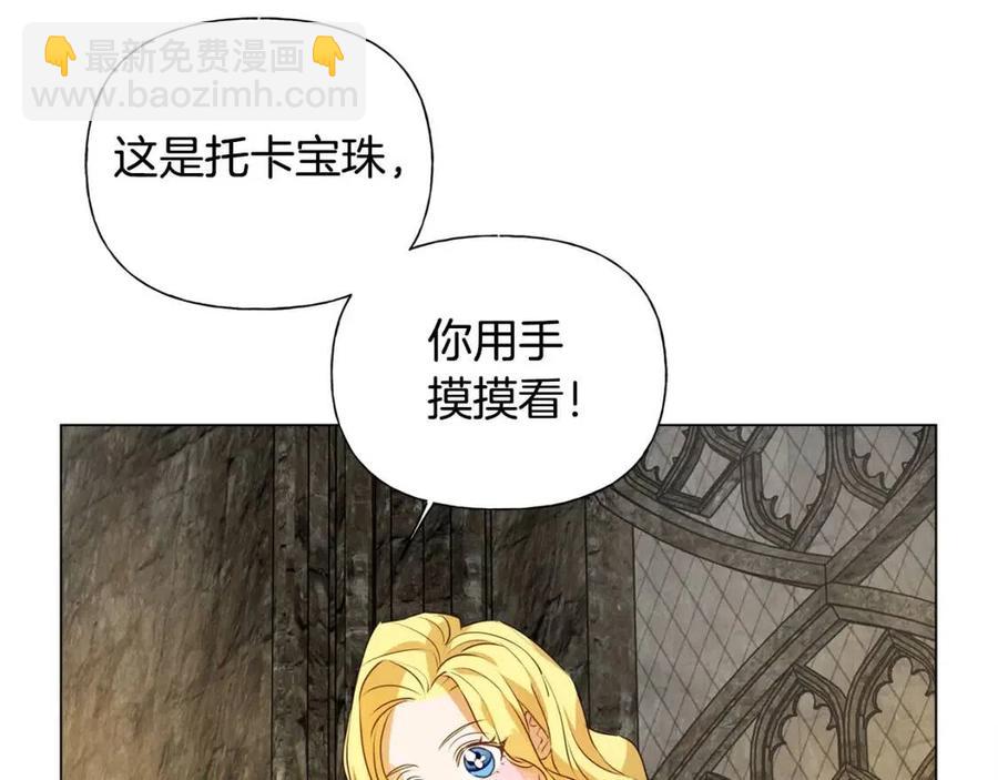 第49话 精灵大变身！71