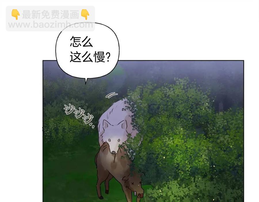 第52话 重逢67