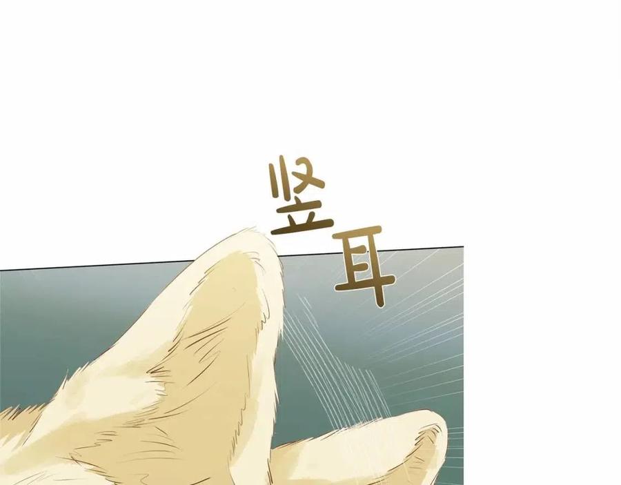 第三季 ·启·山贼来袭96