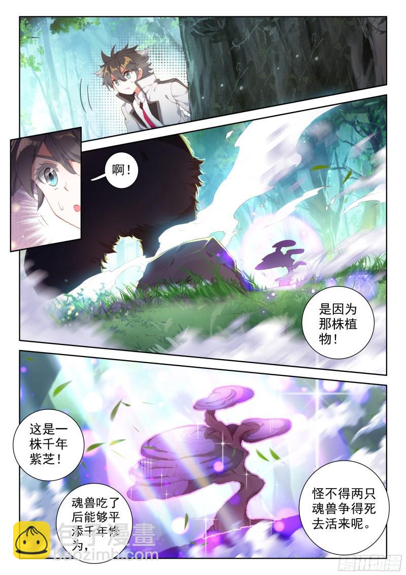 千年紫芝5