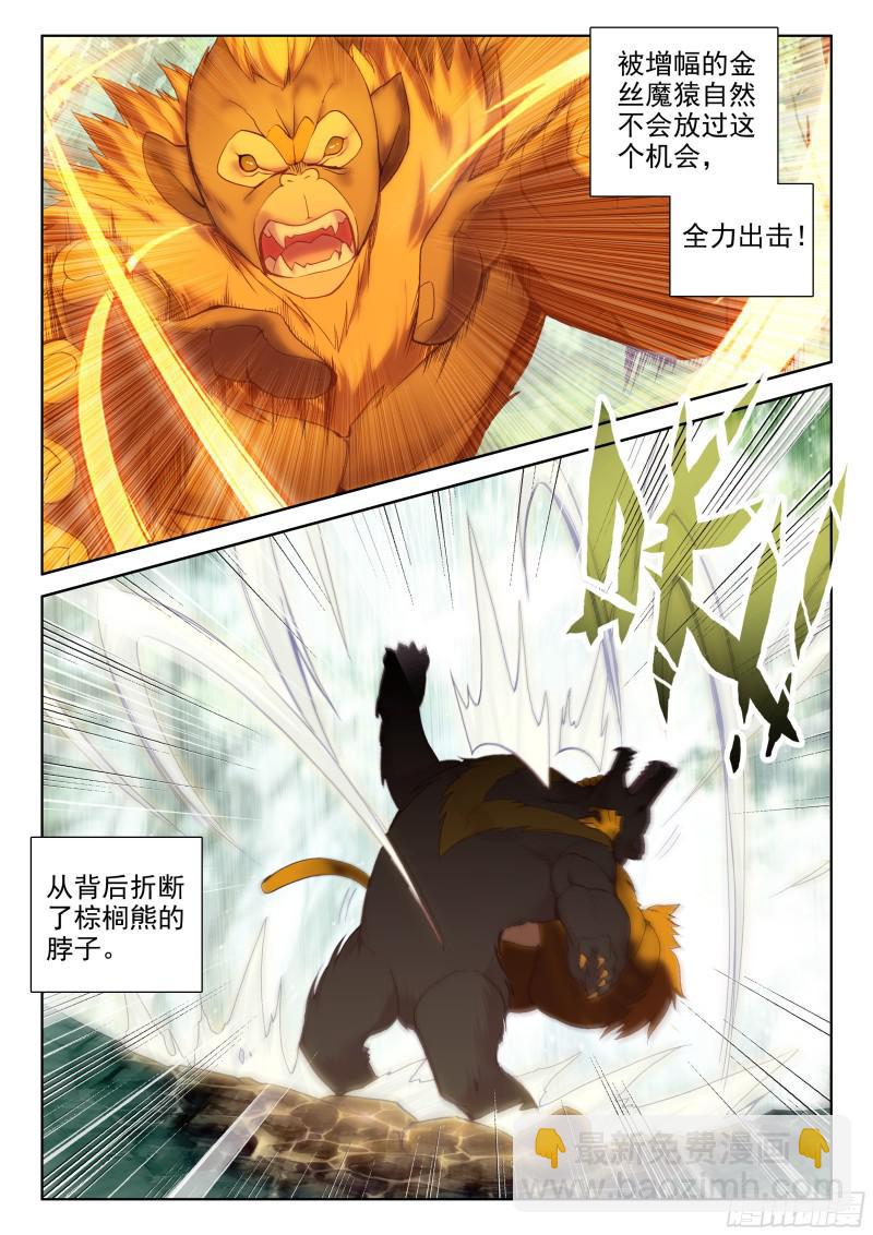 初步联合5