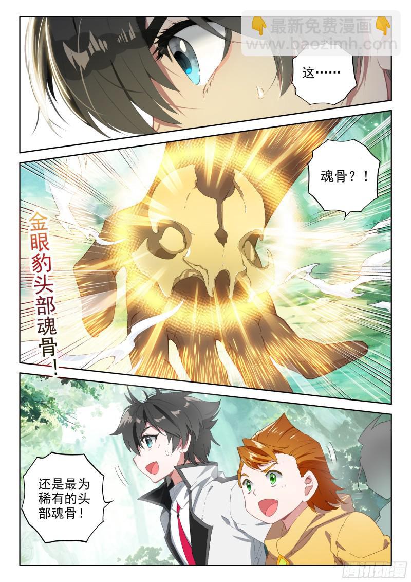 金眼豹头部魂骨16