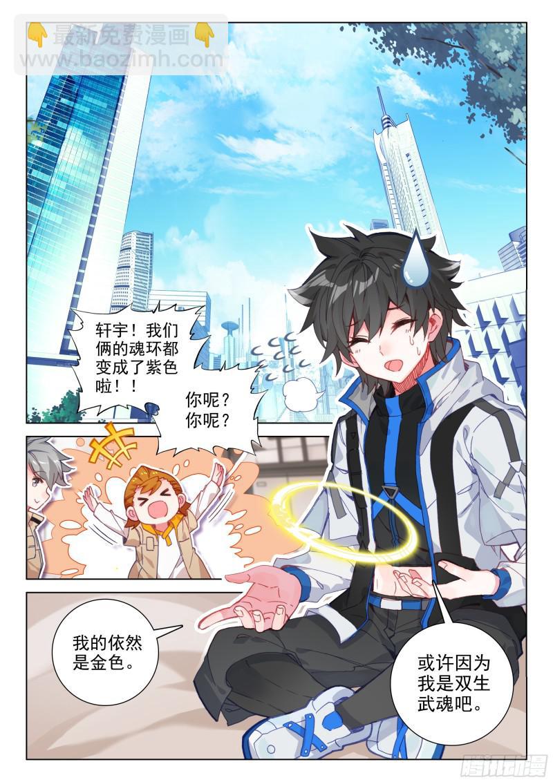金色小猴13