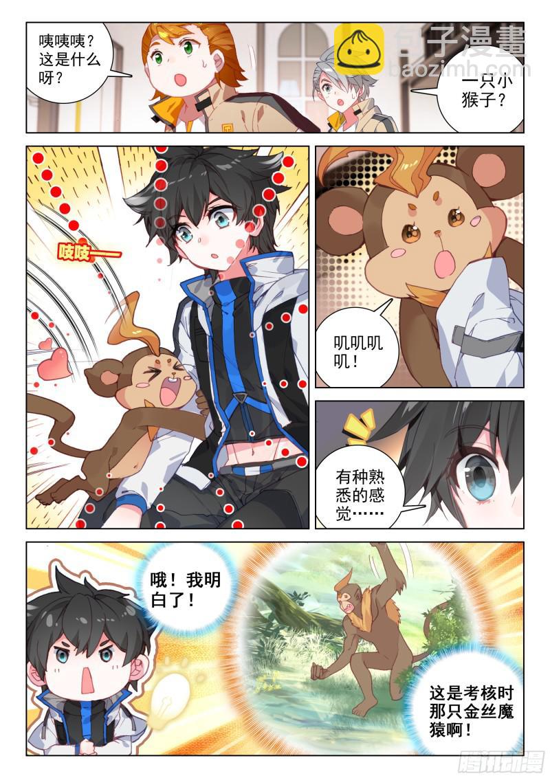 金色小猴15