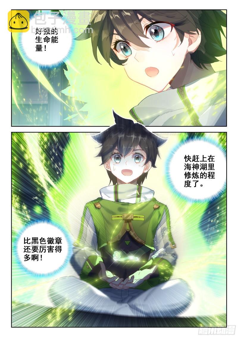 树老赠礼16
