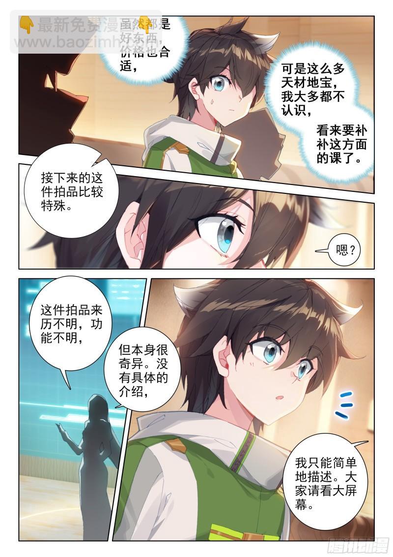 拍卖会11