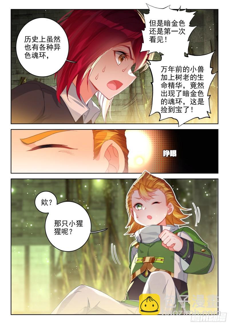 胖猩猩？12