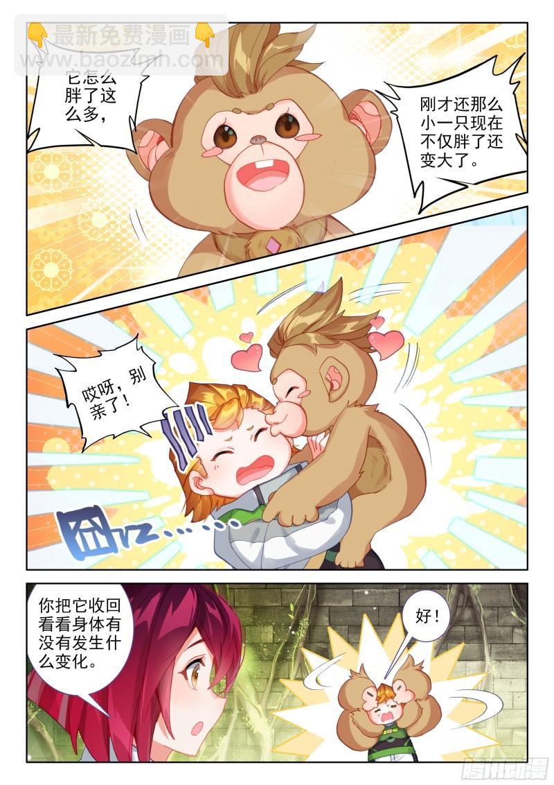 胖猩猩？14