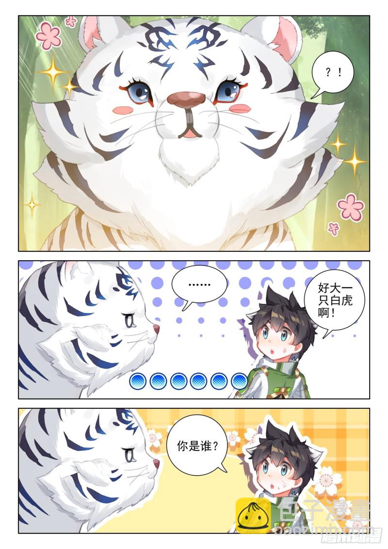 胜利8