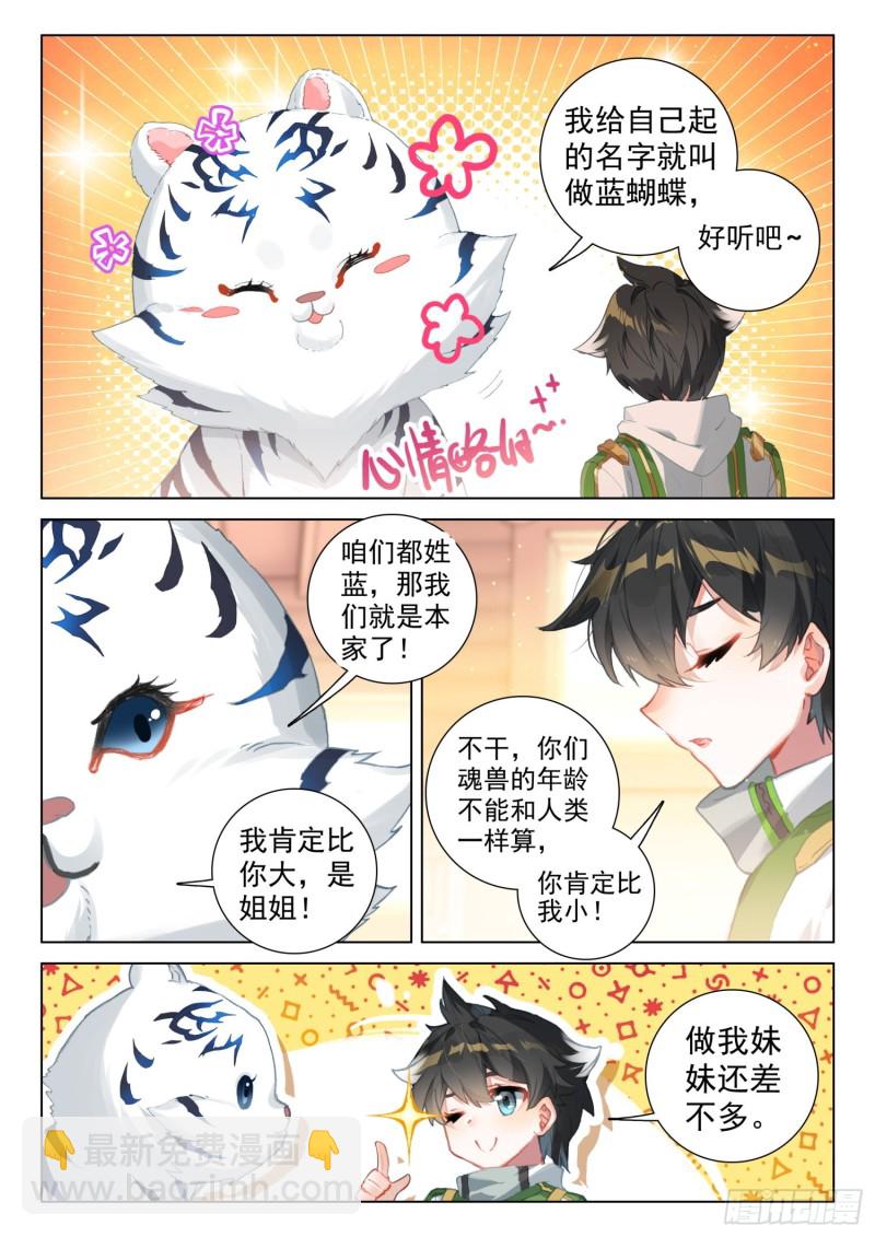 虎王蓝蝴蝶12