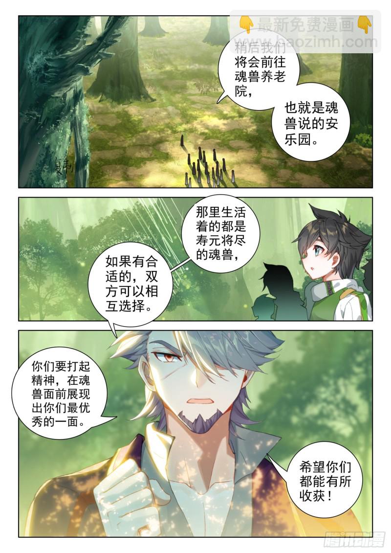 虎王蓝蝴蝶15