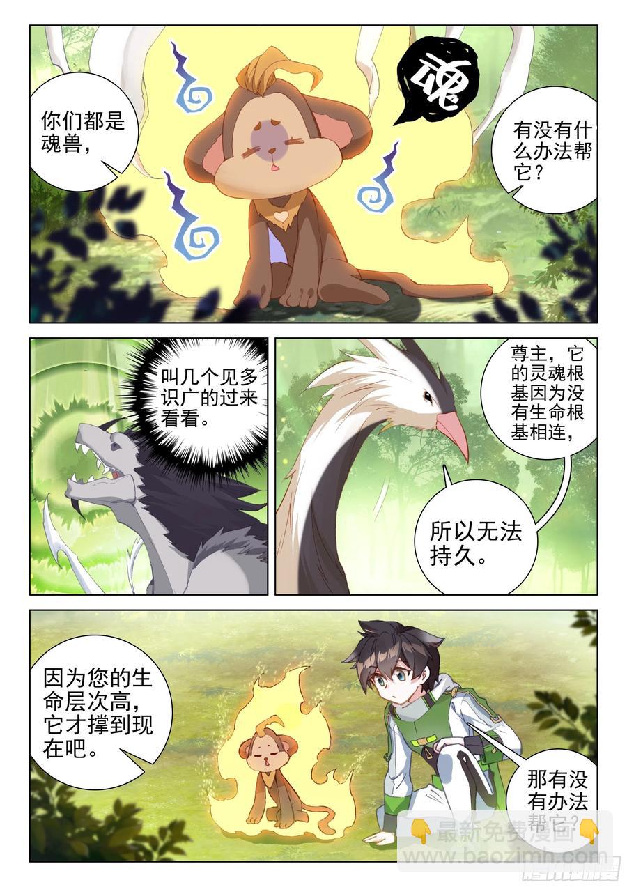 金刚之力3