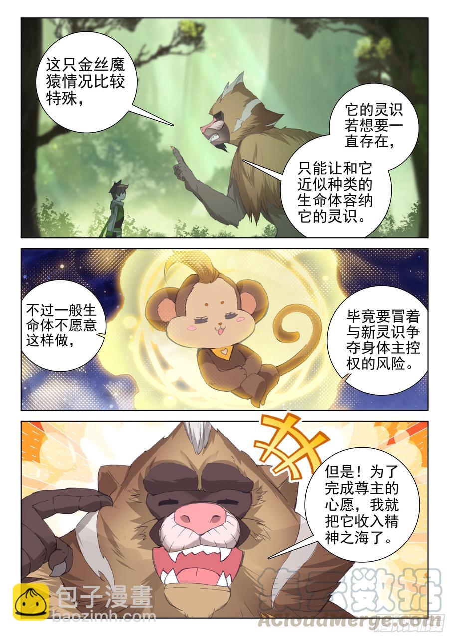 金刚之力6
