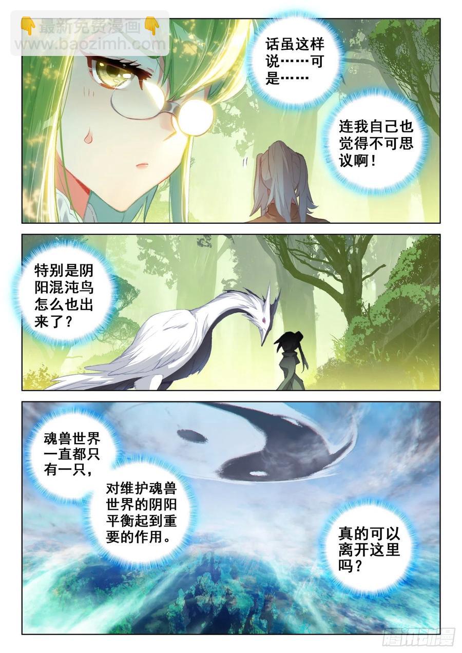 适合蓝梦琴的是……11