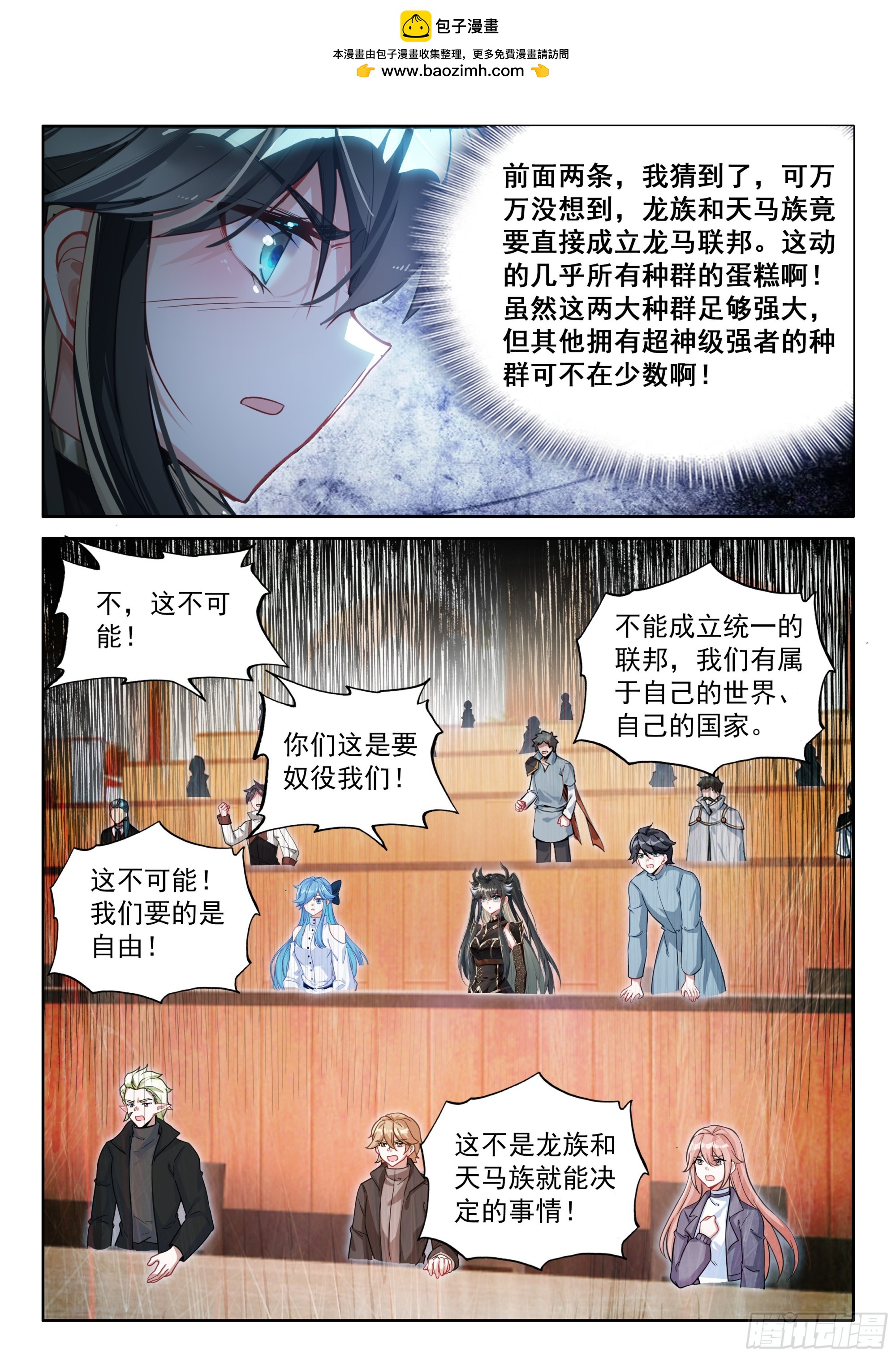 龙马星统一发展研讨大会14