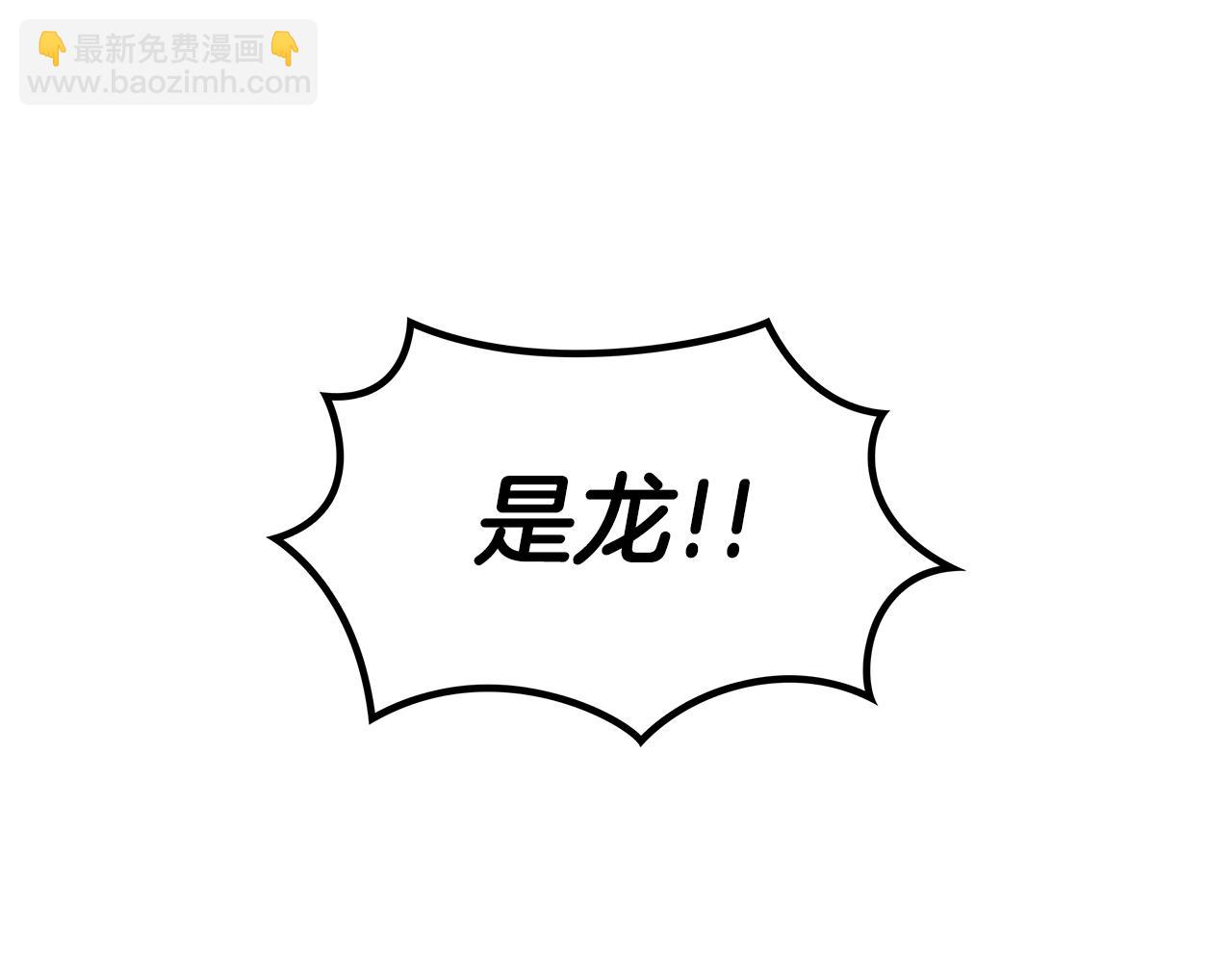 第28话 龙族的秘密46