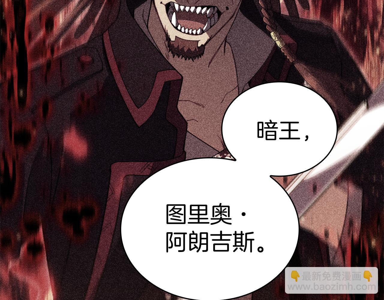 第106话 会面227