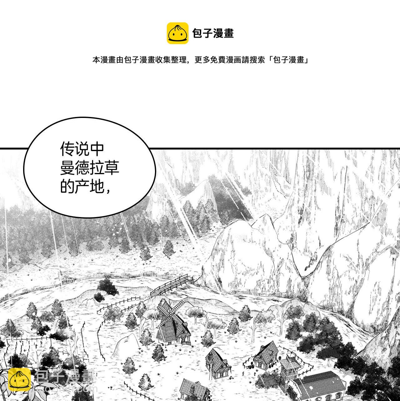 第38话 曼德拉草16