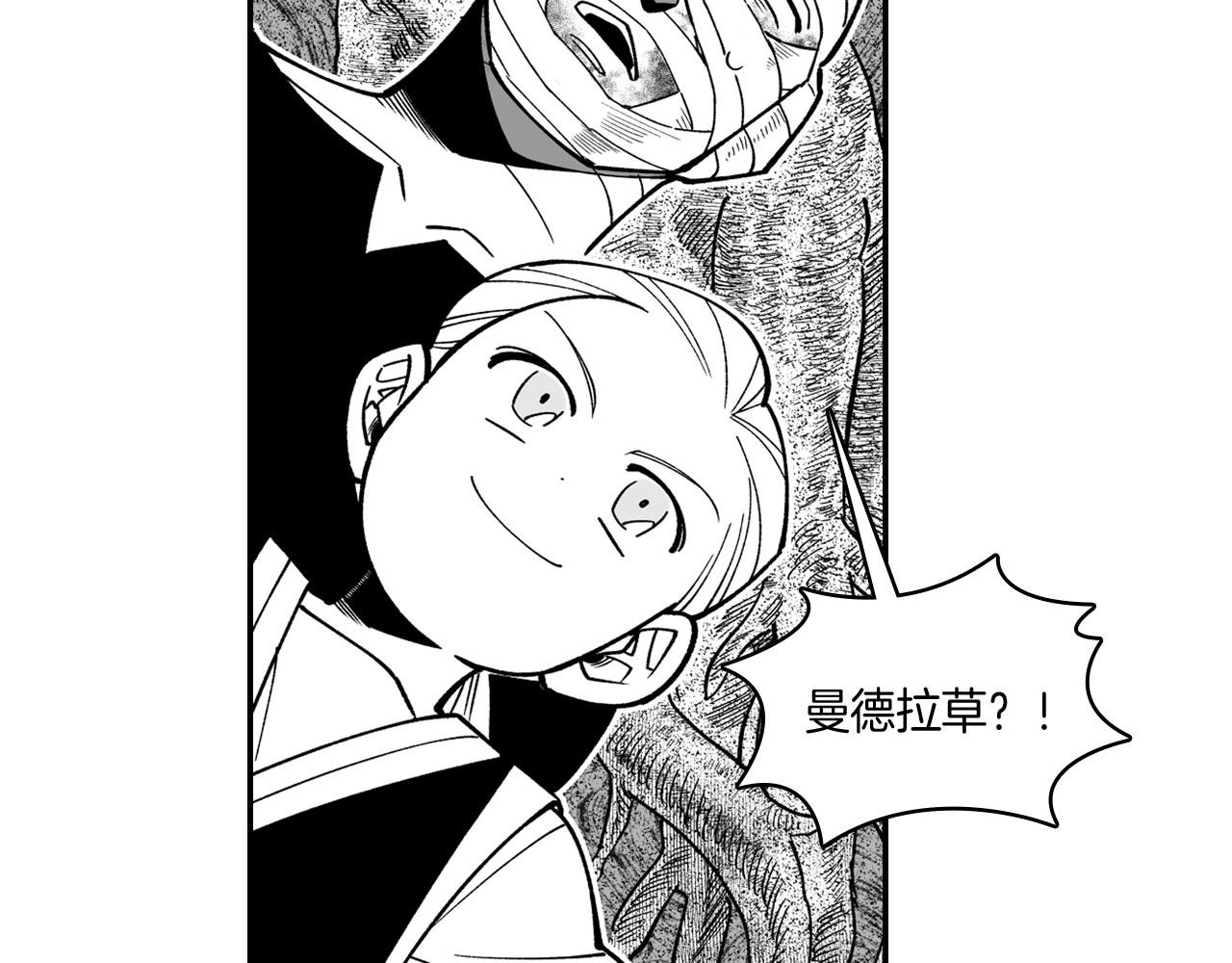第38话 曼德拉草19