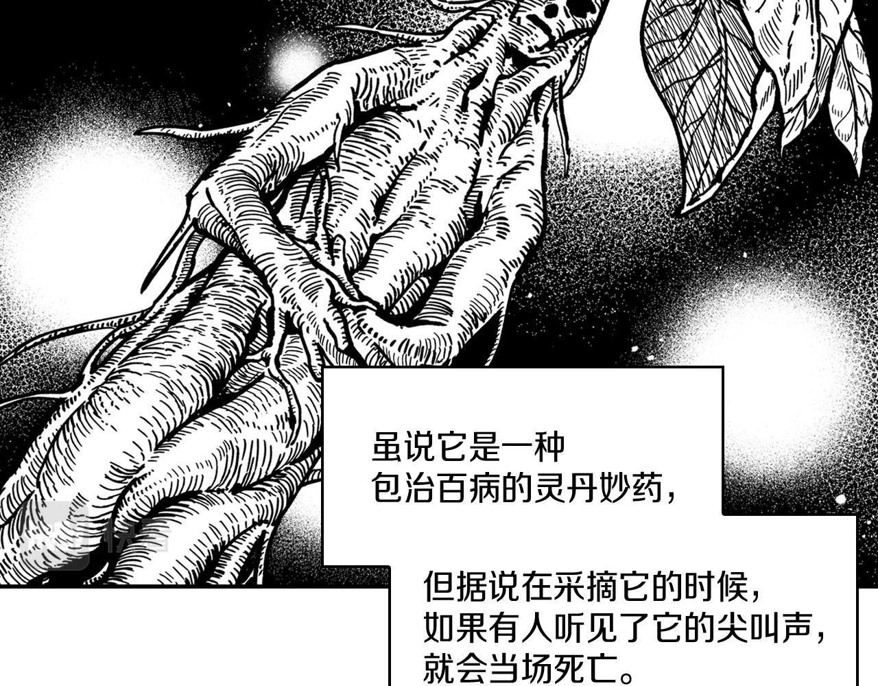 第38话 曼德拉草22
