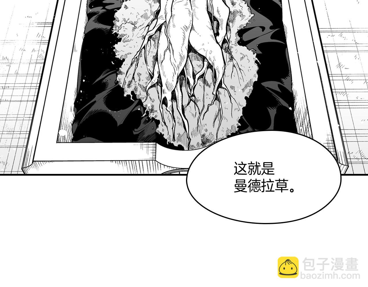 第38话 曼德拉草29