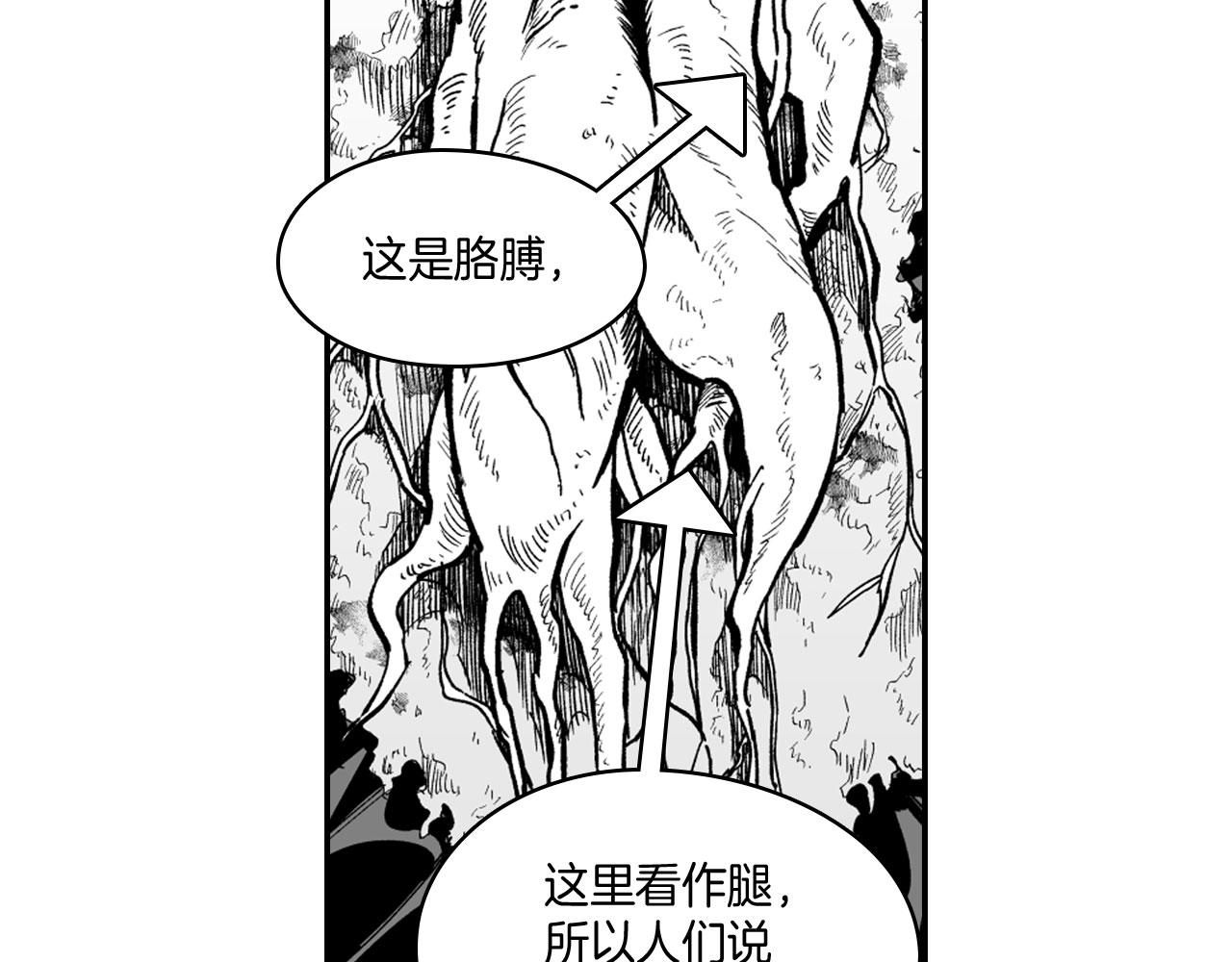 第38话 曼德拉草35