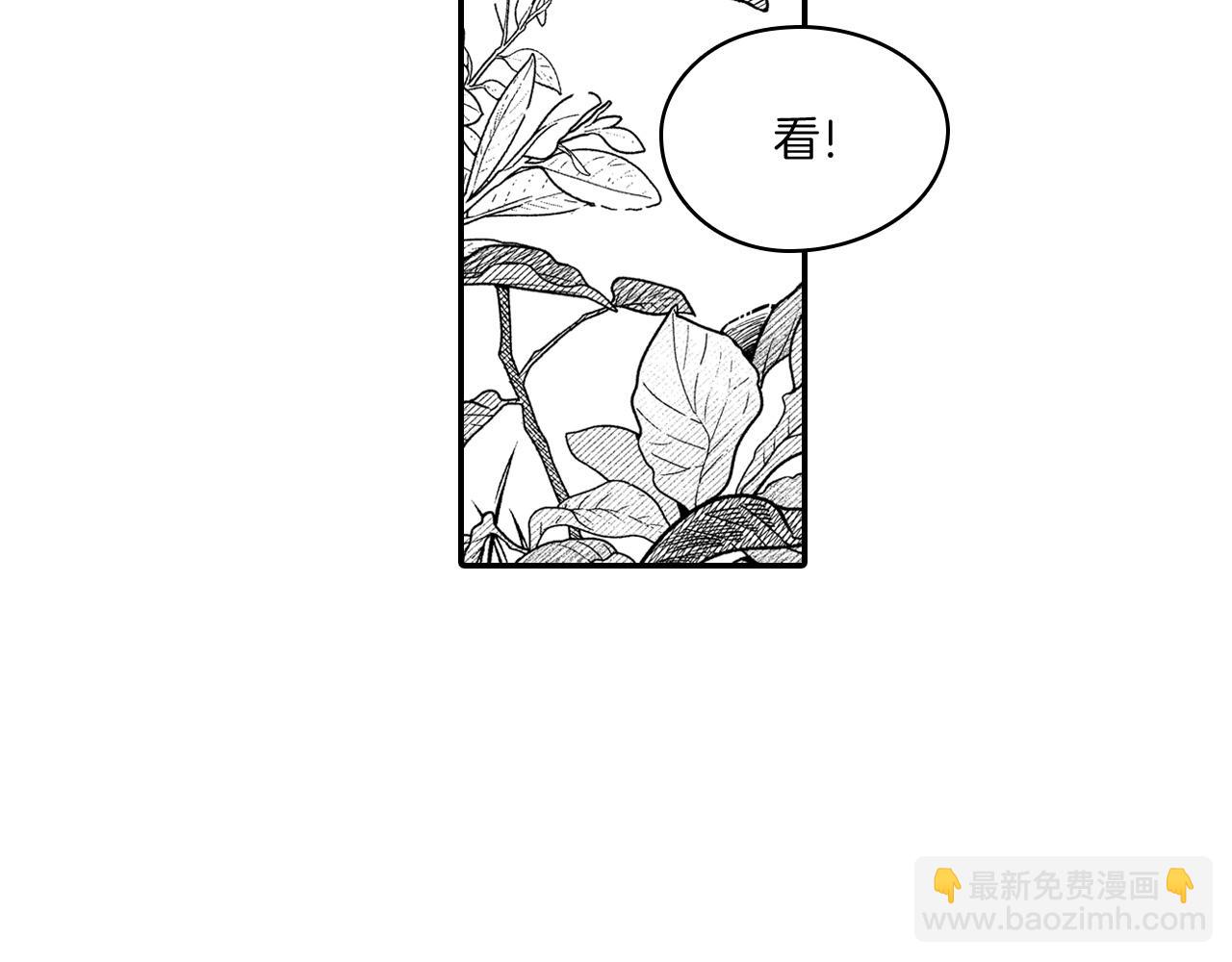 第93话 蹦蹦尾部落13
