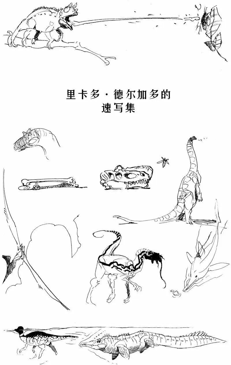其他15