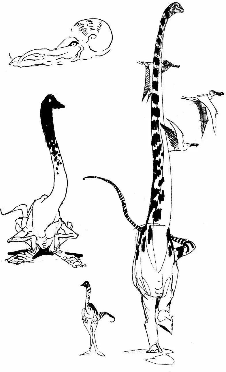 其他20