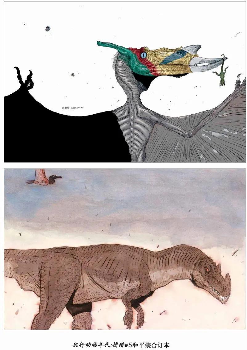 其他6