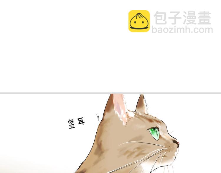 第54话 我愿成为你的剑172