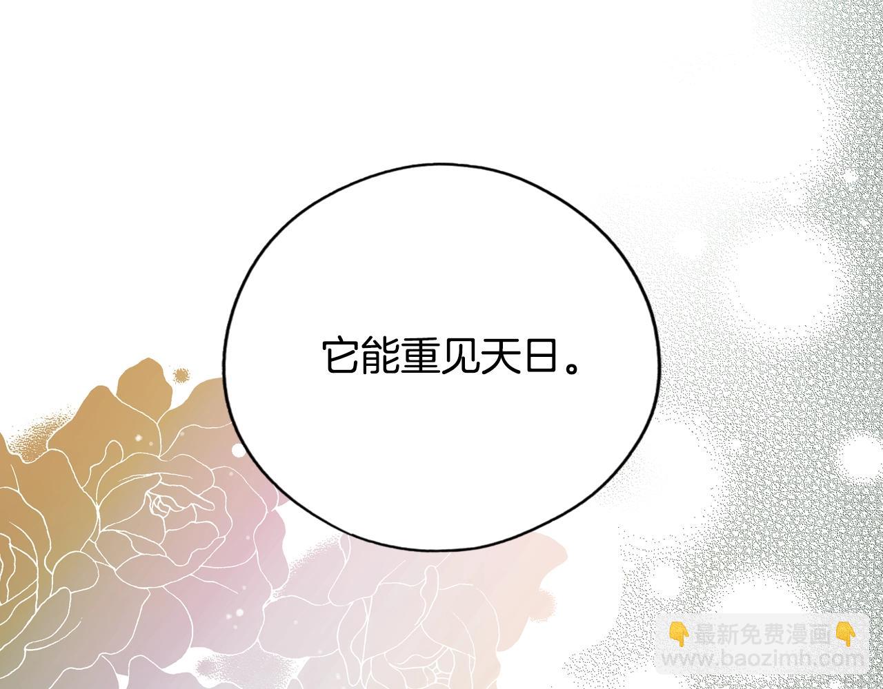 第46话 帮我离婚吧146