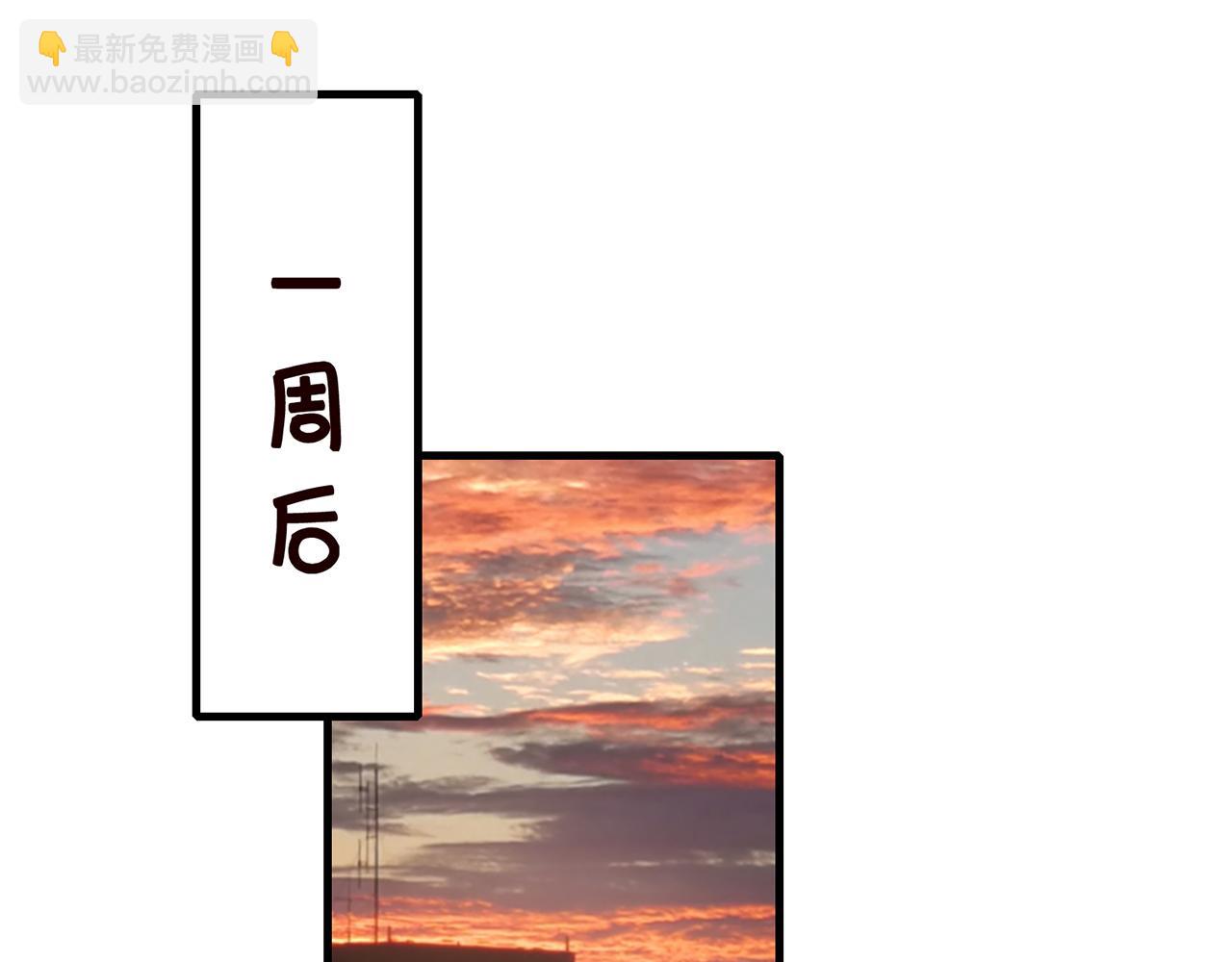 第268  一个人的平安夜44