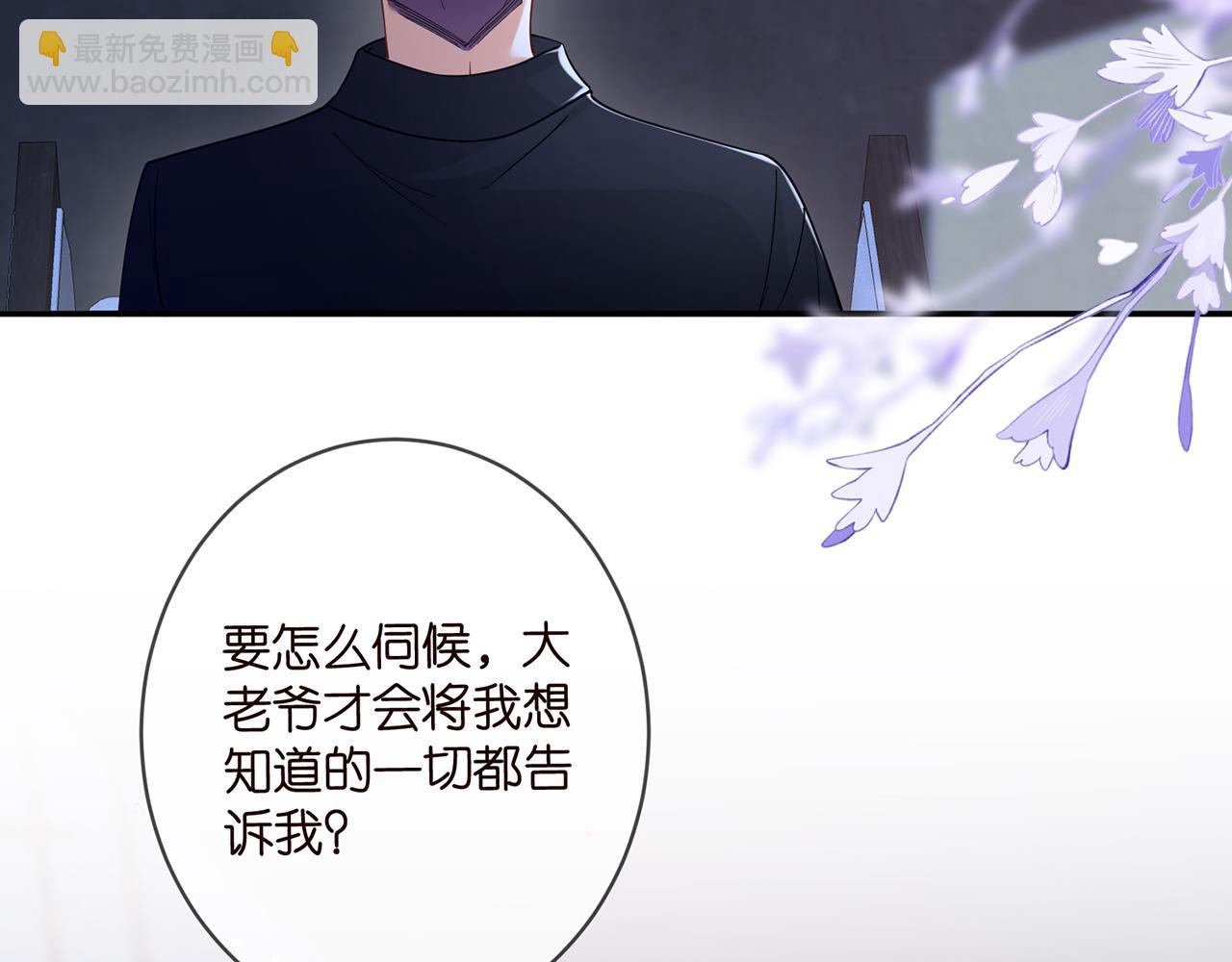 第440 美妙的夜晚12