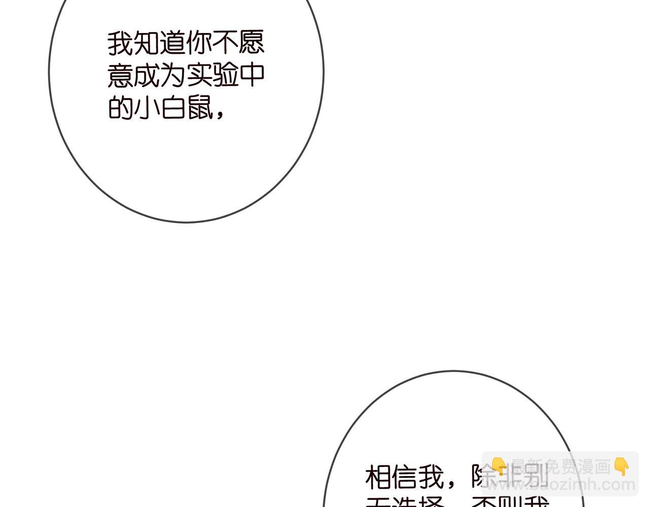第477 飞鹰的秘密23