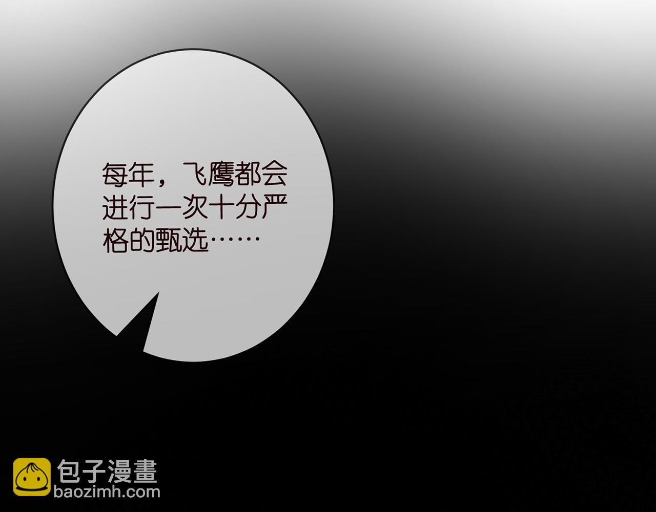 第477 飞鹰的秘密56