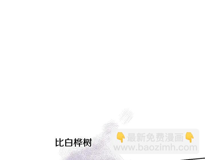 第21话 木香的源头117