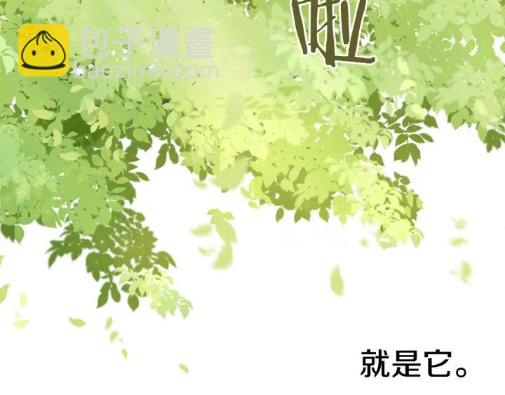第21话 木香的源头124