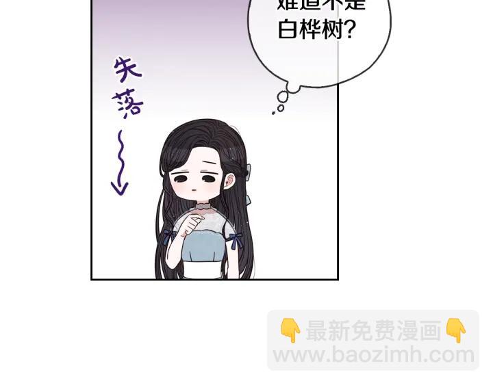 第21话 木香的源头13